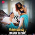 Pehredaar S3 Episode 4